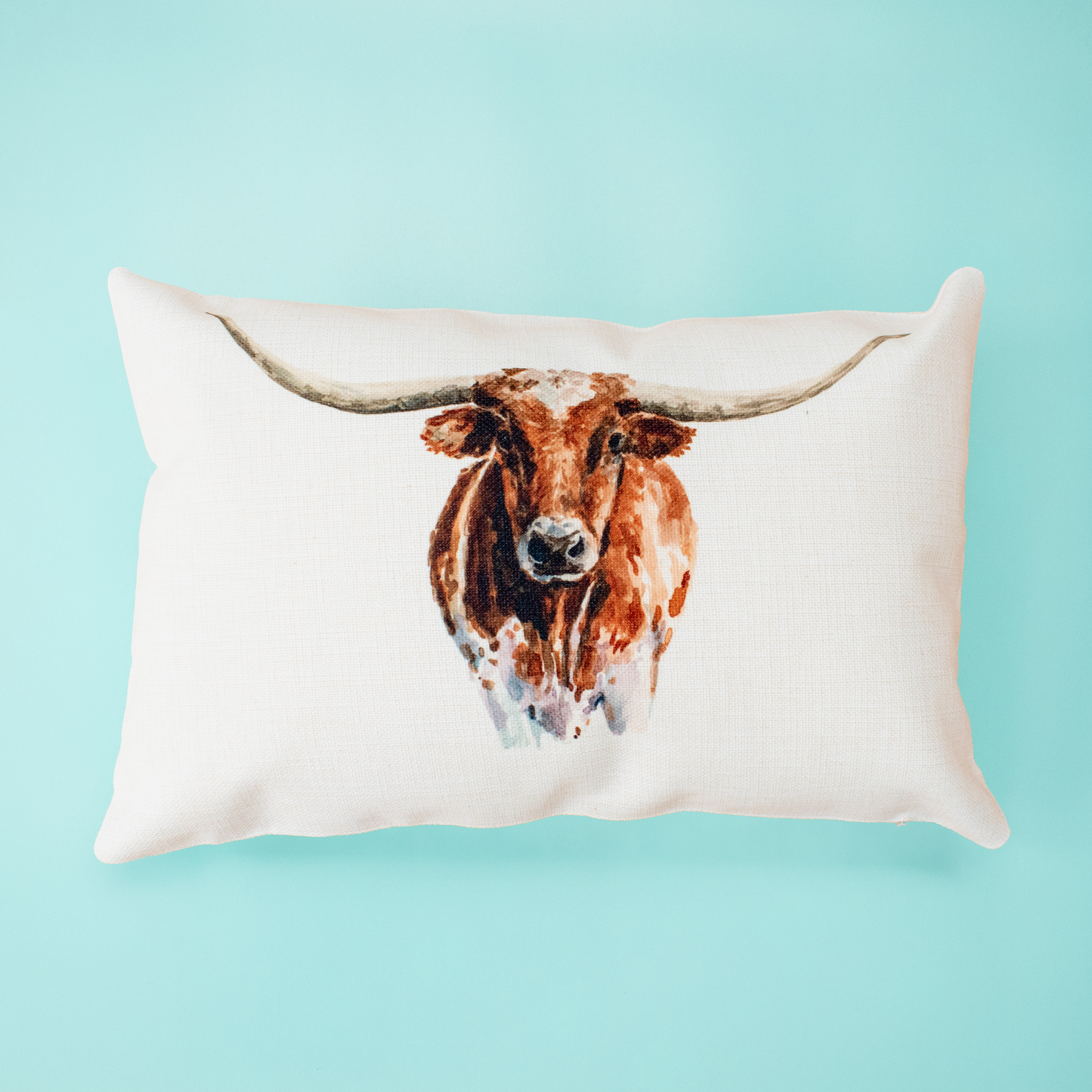 Texas longhorn pillow