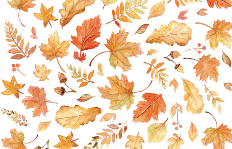 Fall Leaves Placemat