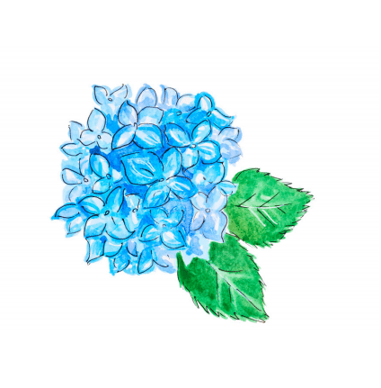 Hydrangea Enclosure Card