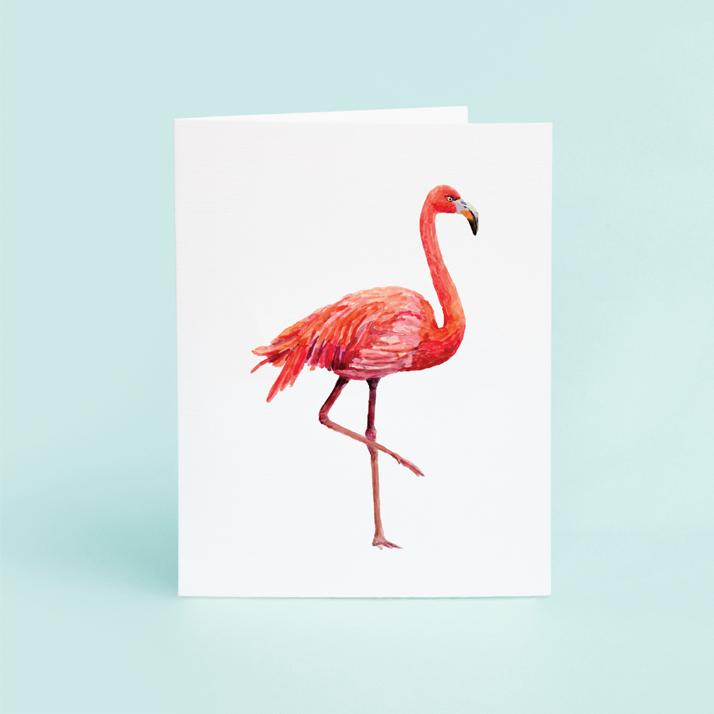 Flamingo