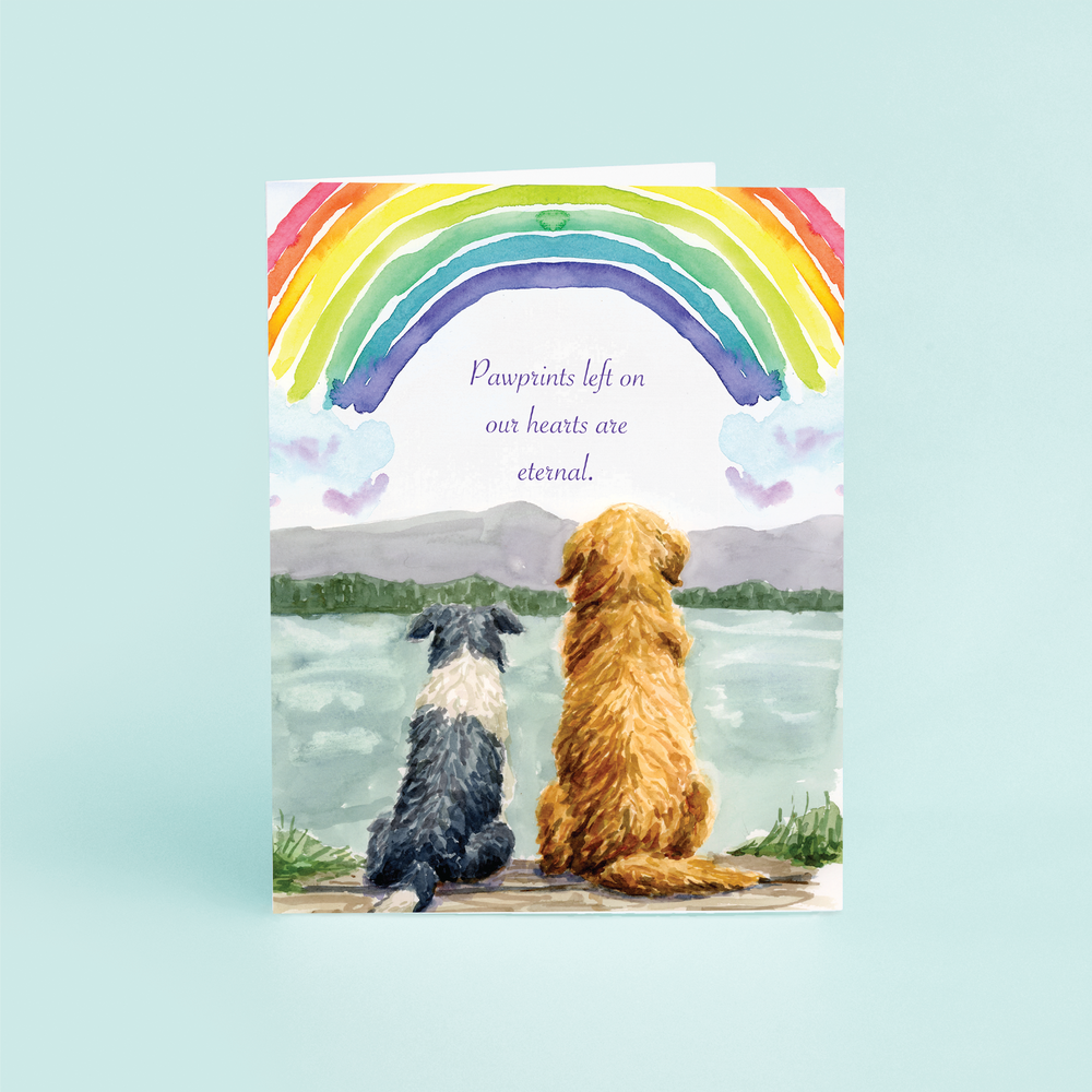 Rainbow Dog Sympathy 