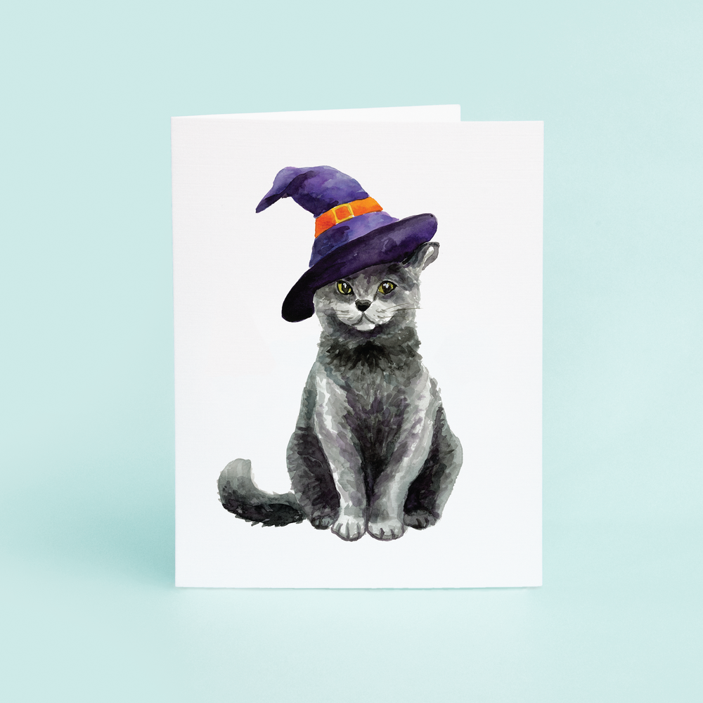 
                  
                    a grey or balck cat dressed up as a witch for halloween
                  
                