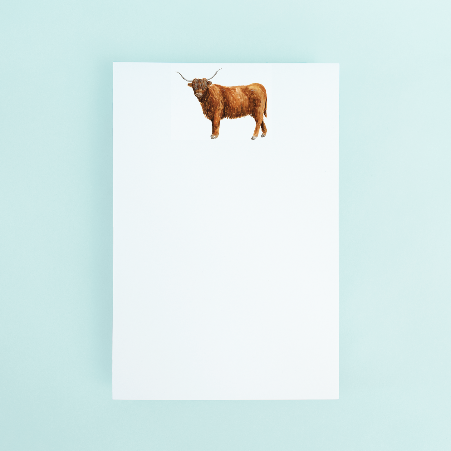 Highland Cow