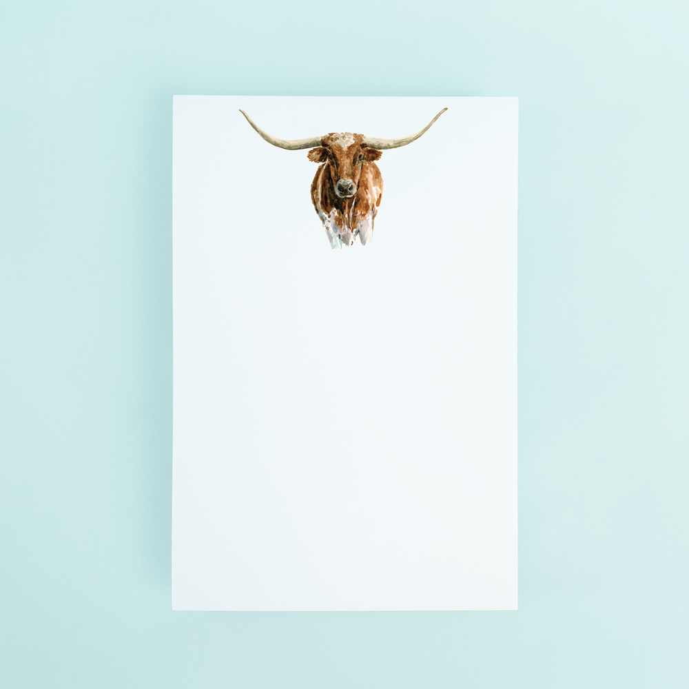 Longhorn Portrait