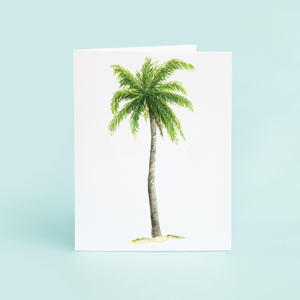 Palm Tree