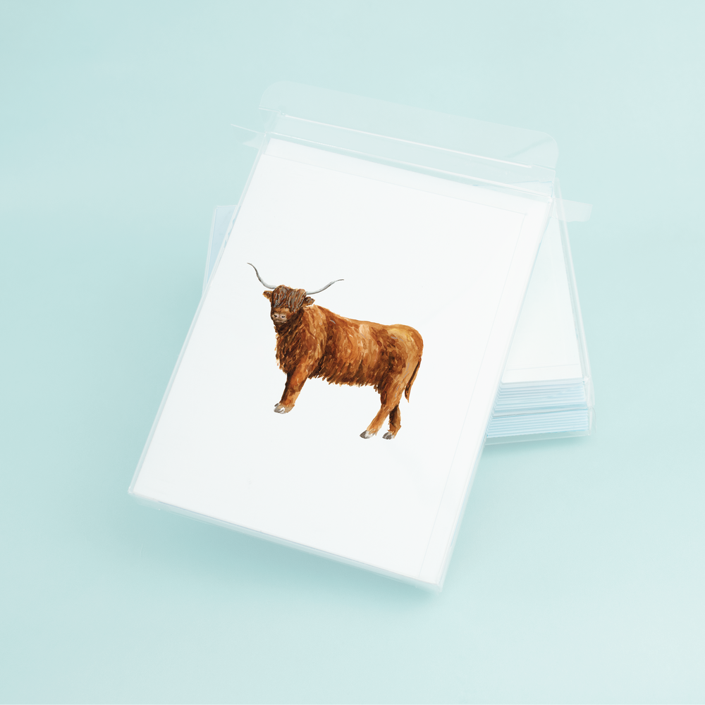 Highland Cow