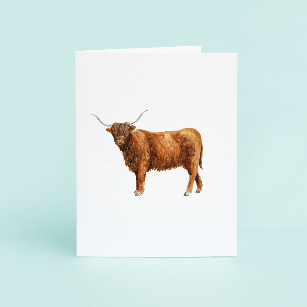 Highland Cow