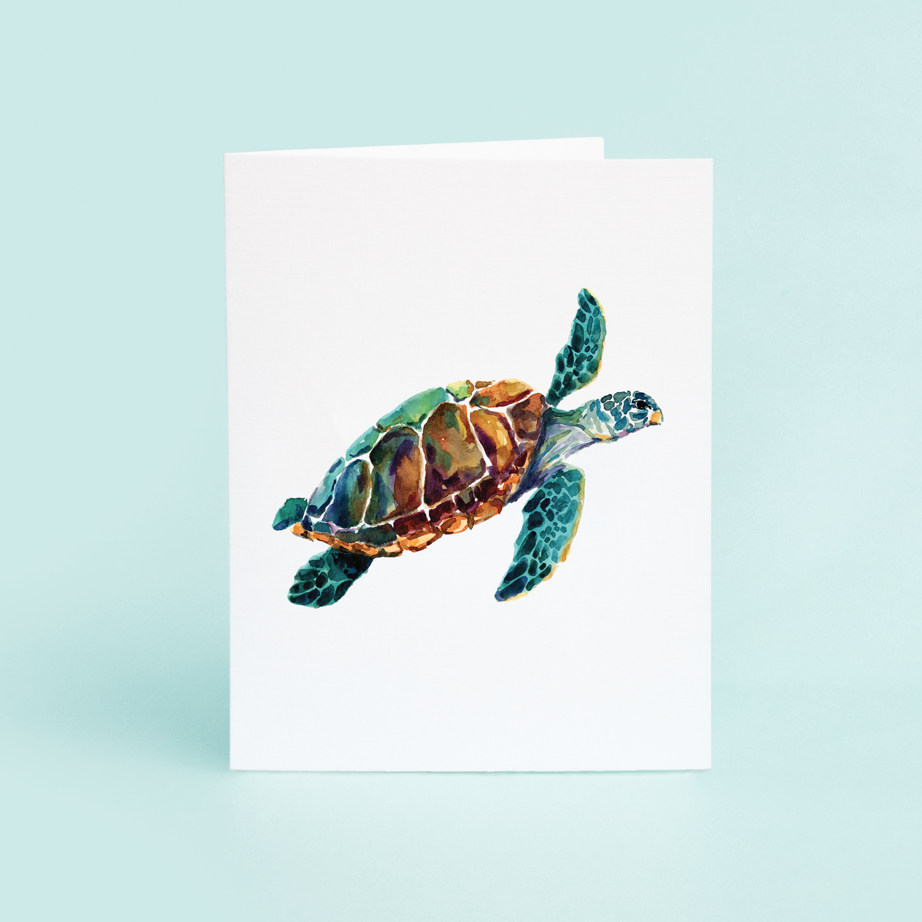 Sea Turtle – Taylor Paladino