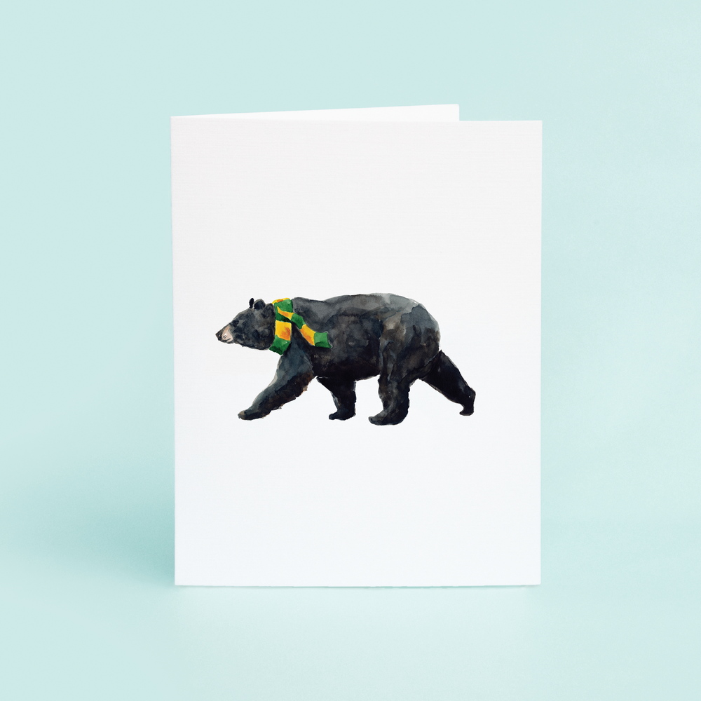 Black Bear