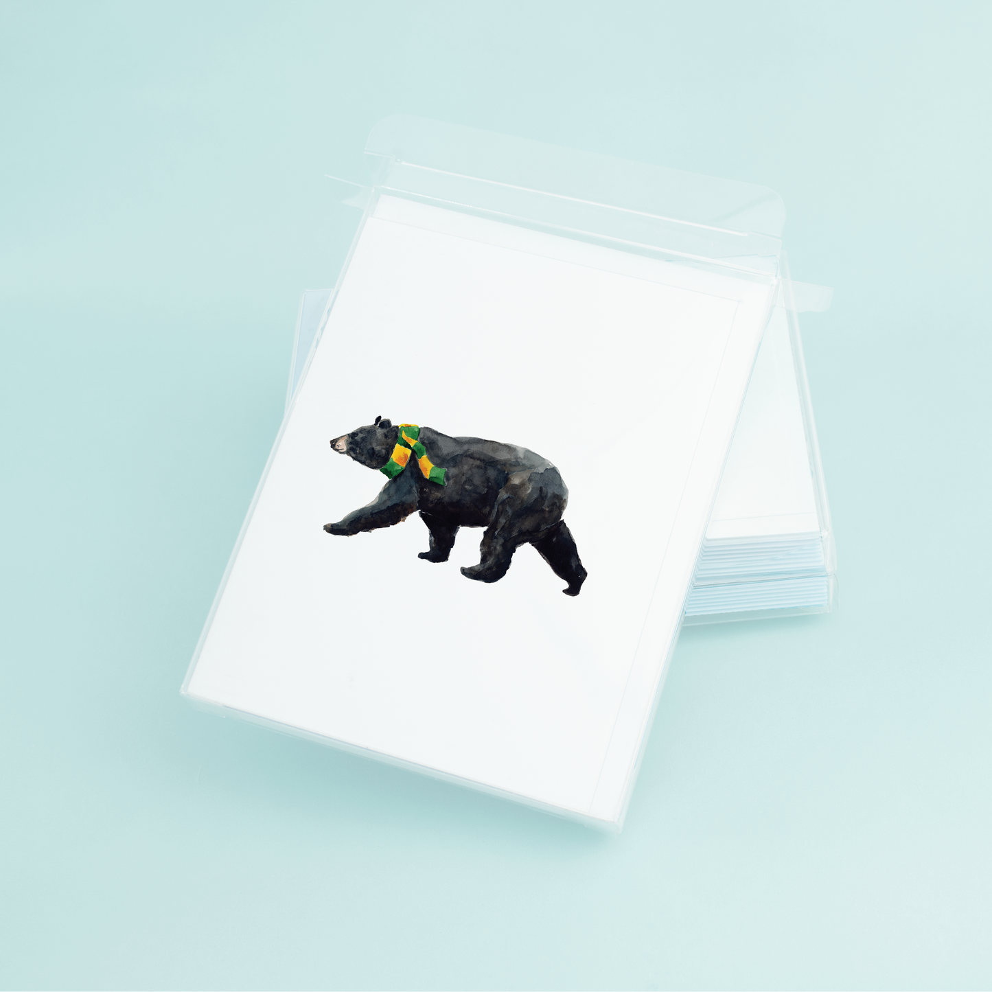 Black Bear