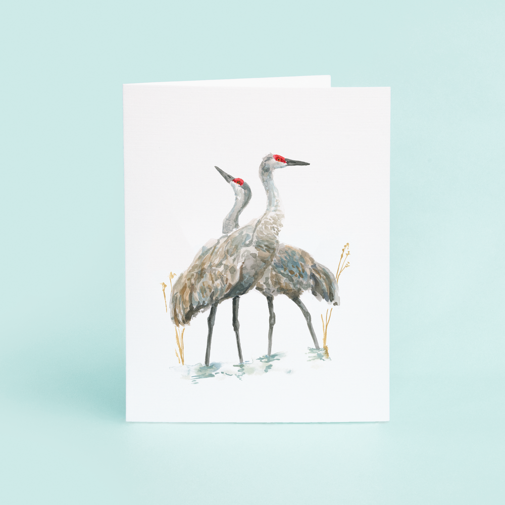 
                      
                        Sandhill Crane
                      
                    