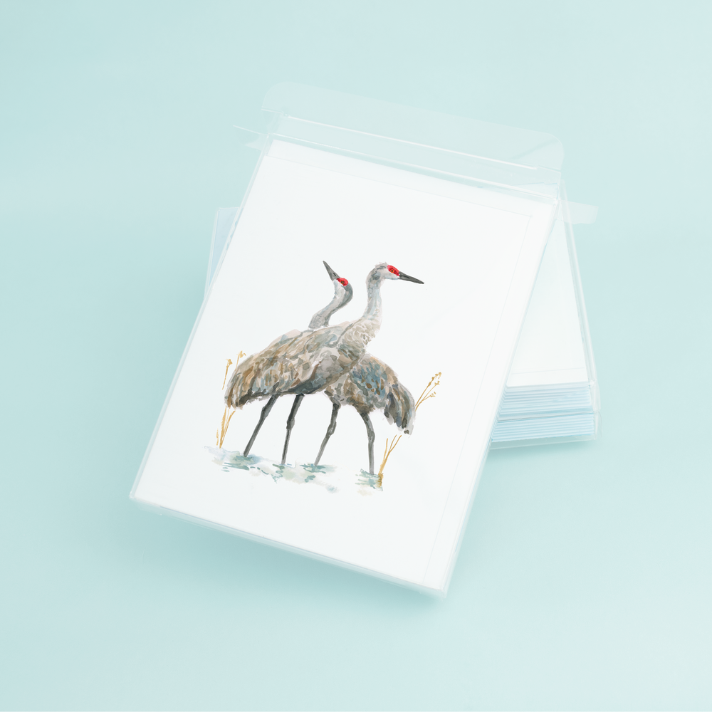 Sandhill Crane