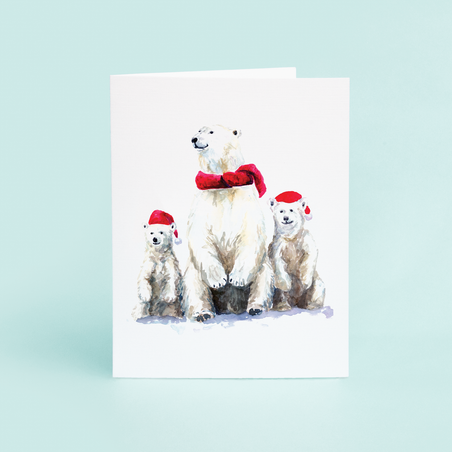 Polar Bears