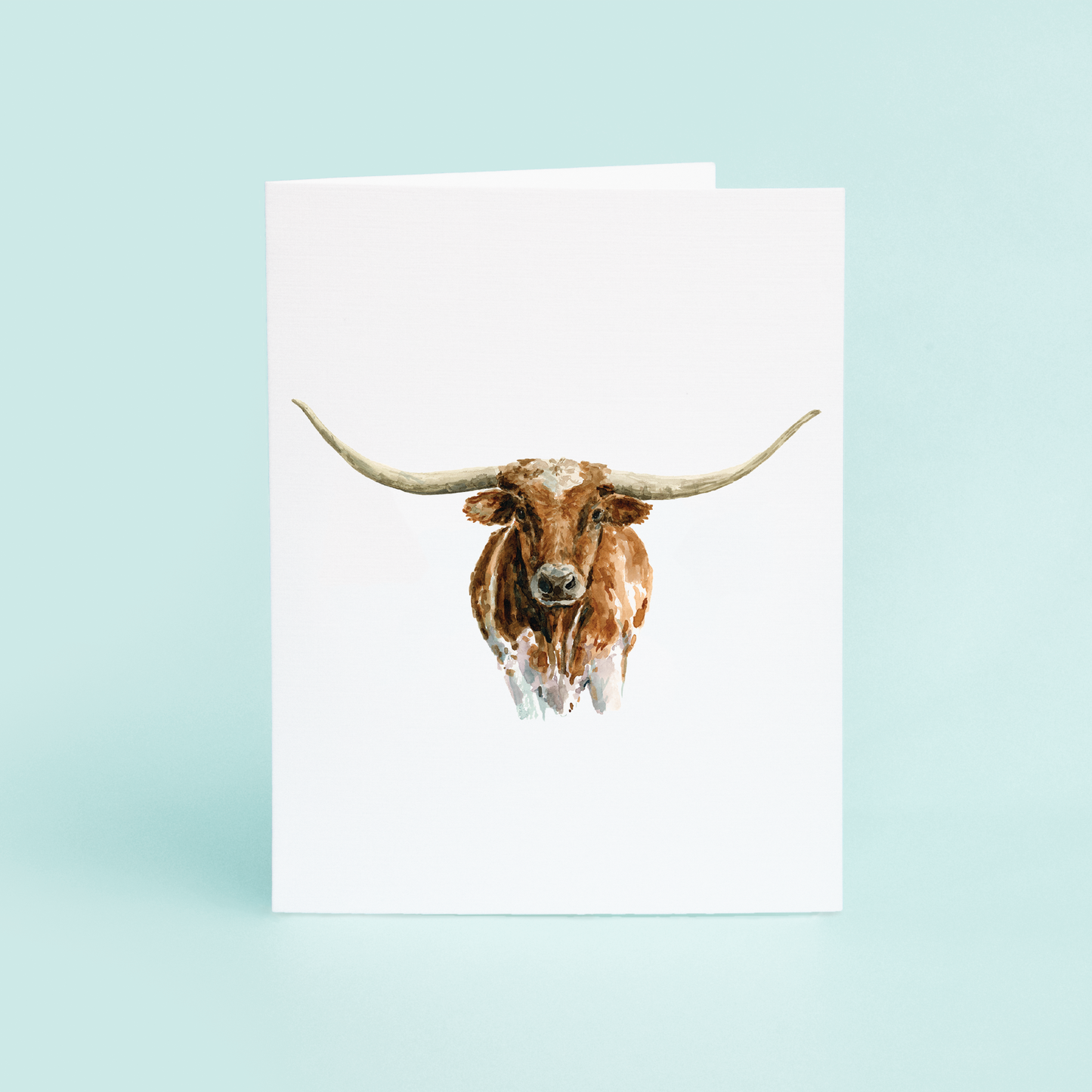 Longhorn Portrait