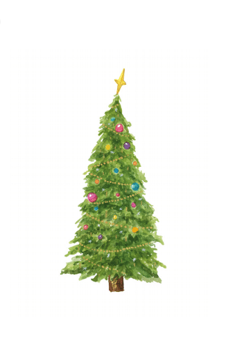 Christmas Tree Enclosure Card – Taylor Paladino