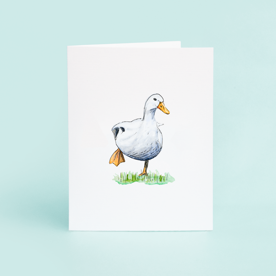 White Duck on Grass