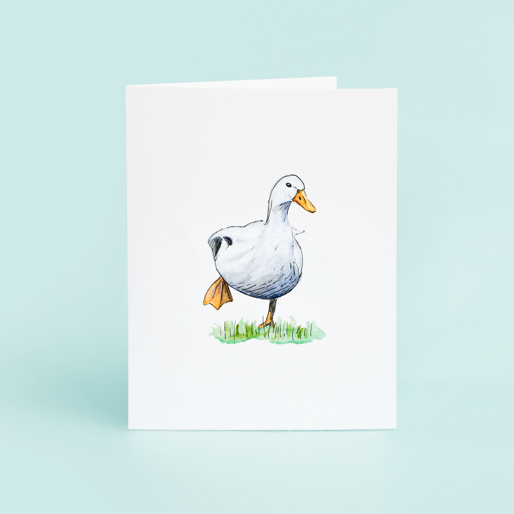 White Duck on Grass