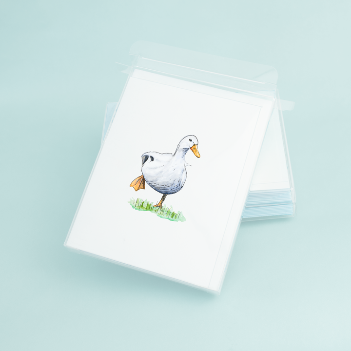 White Duck on Grass