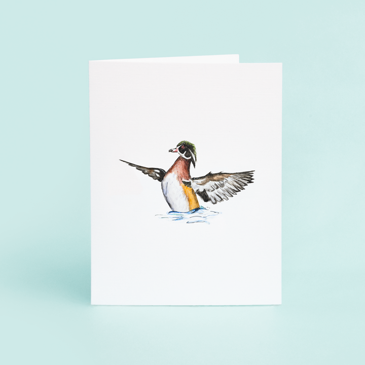 Wood Duck on Water
