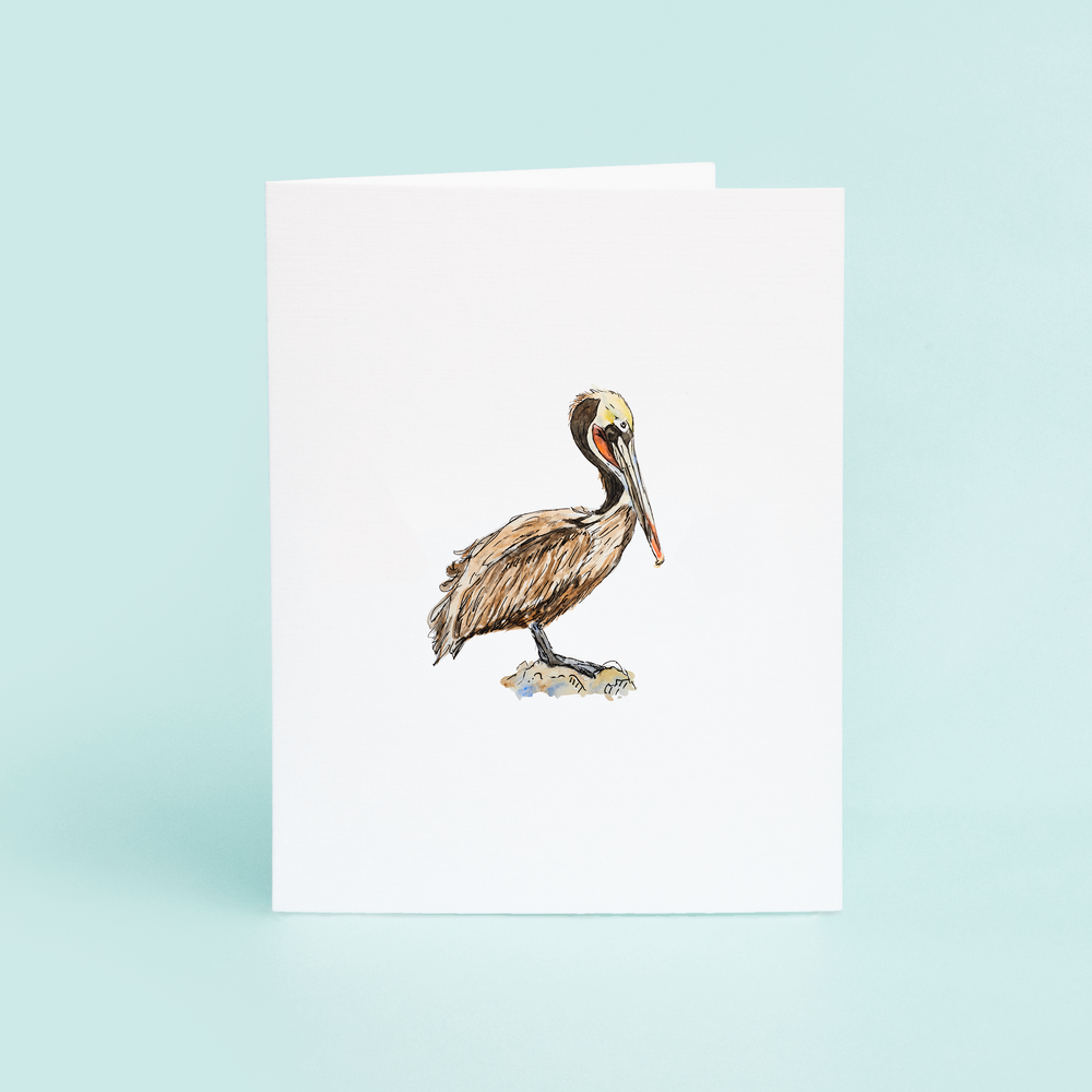 
                      
                        Brown Pelican
                      
                    
