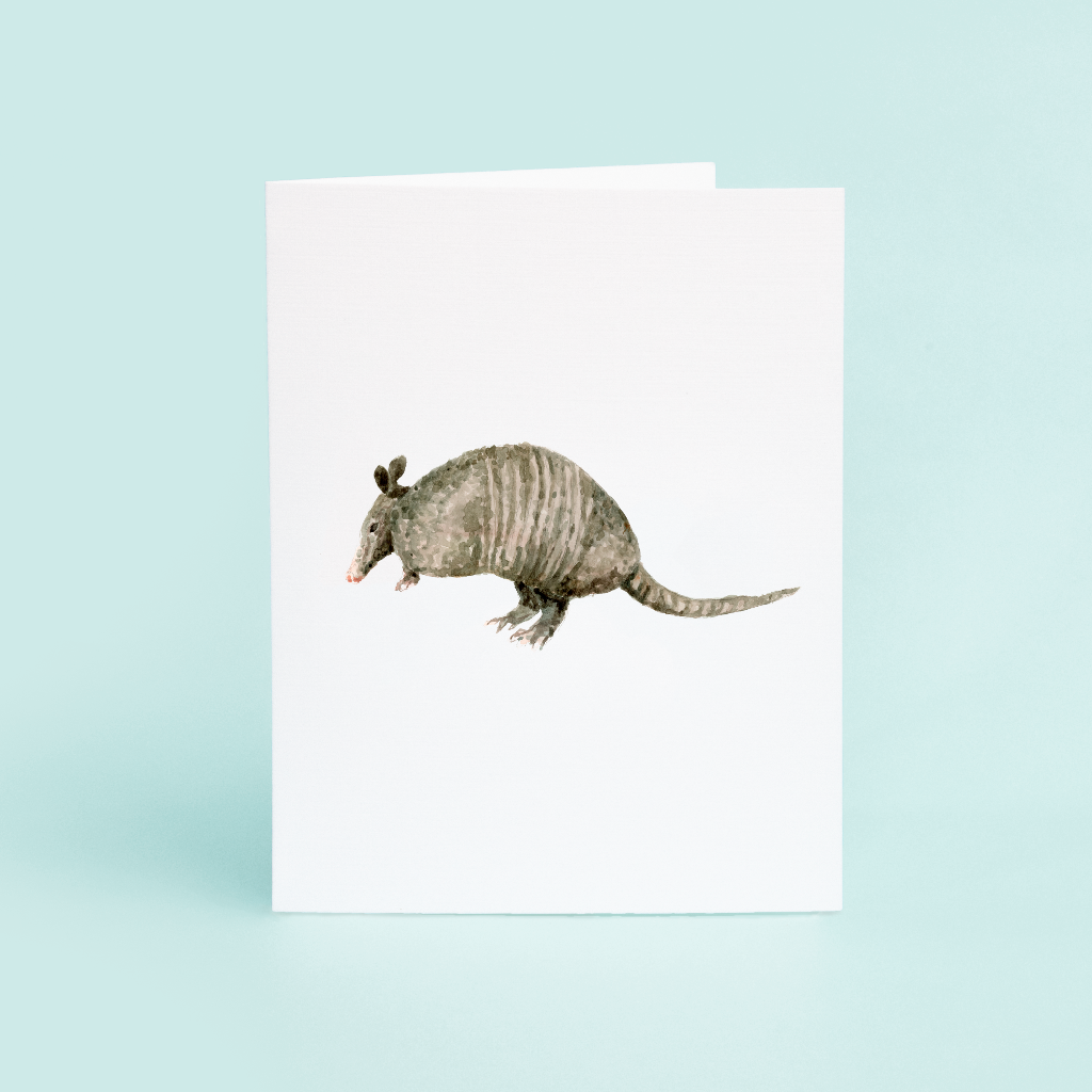 Armadillo