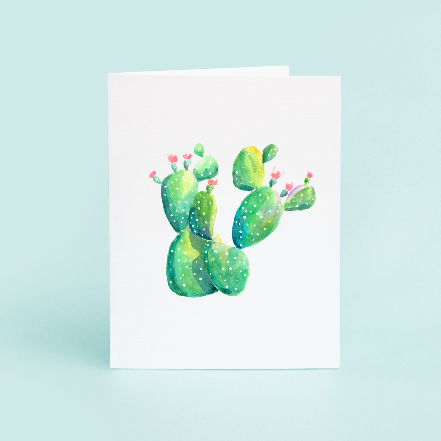 Prickly Pear Cactus