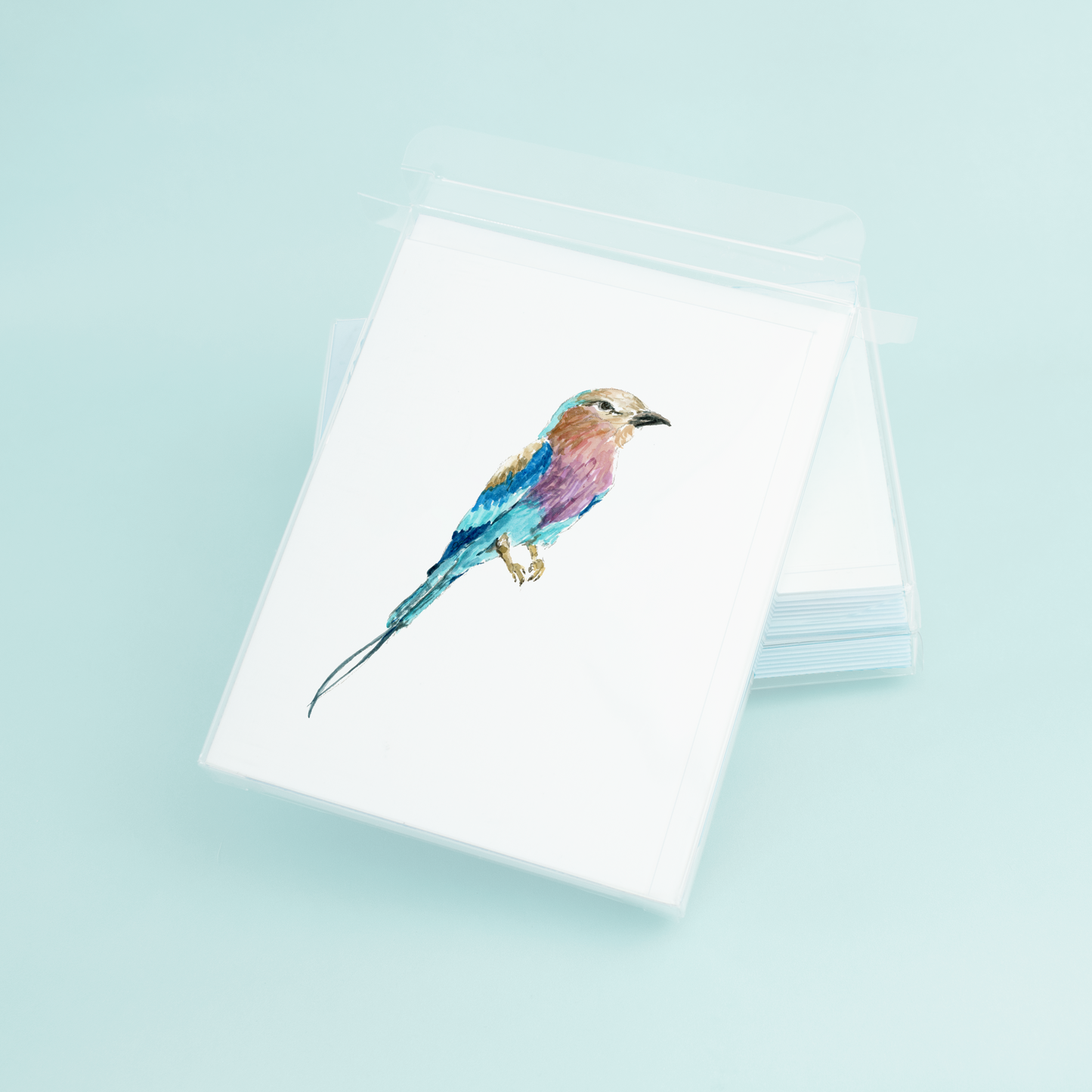 Lilac Breasted Roller