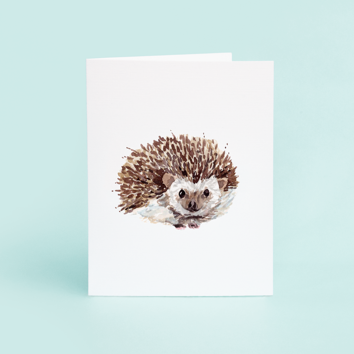 Hedgehog