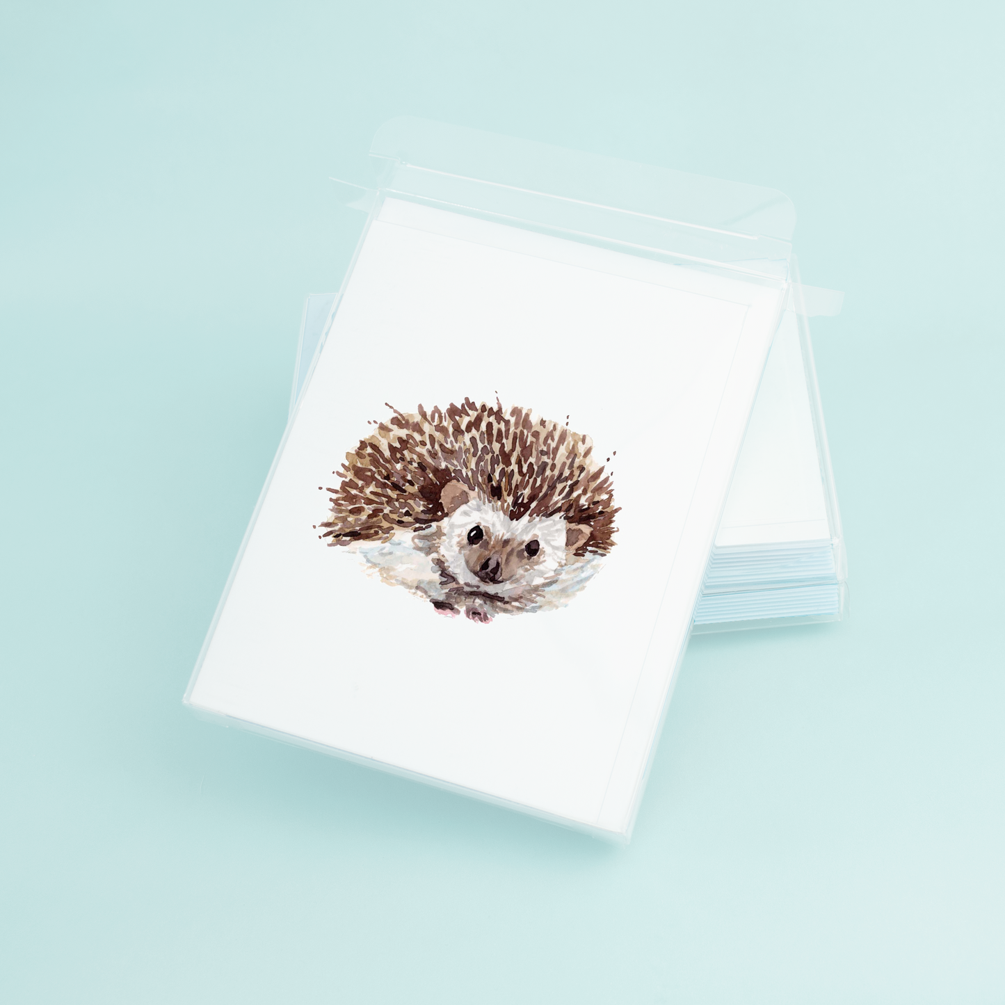 Hedgehog