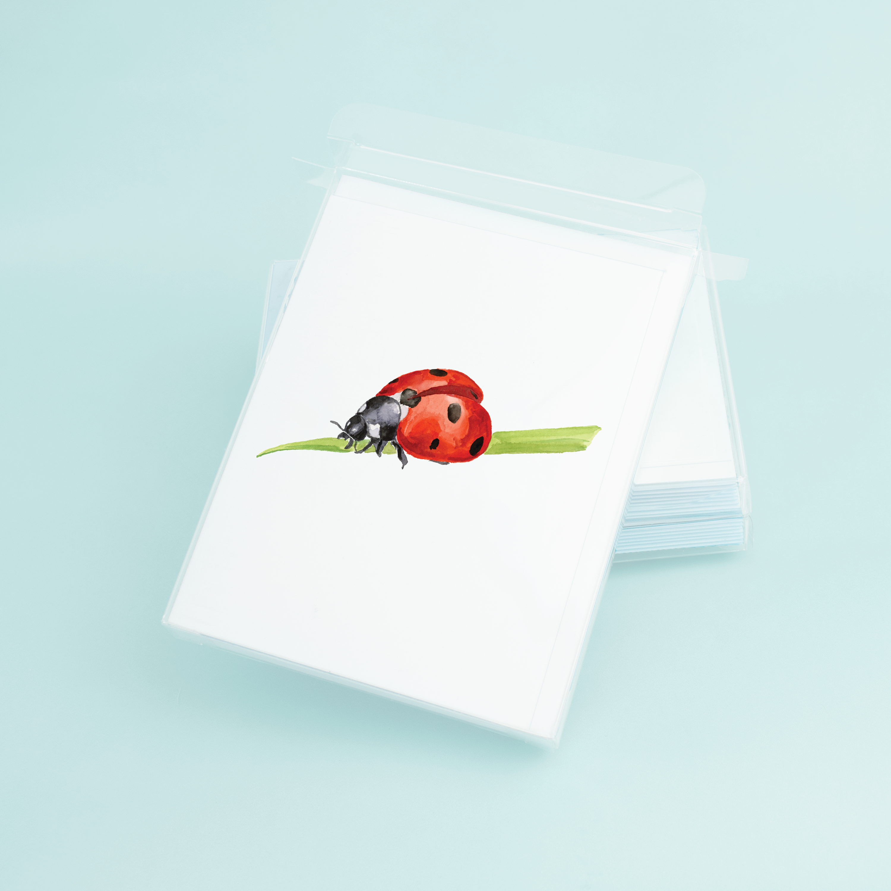 Lady Bug Greeting Card | Insect Stationery – Taylor Paladino