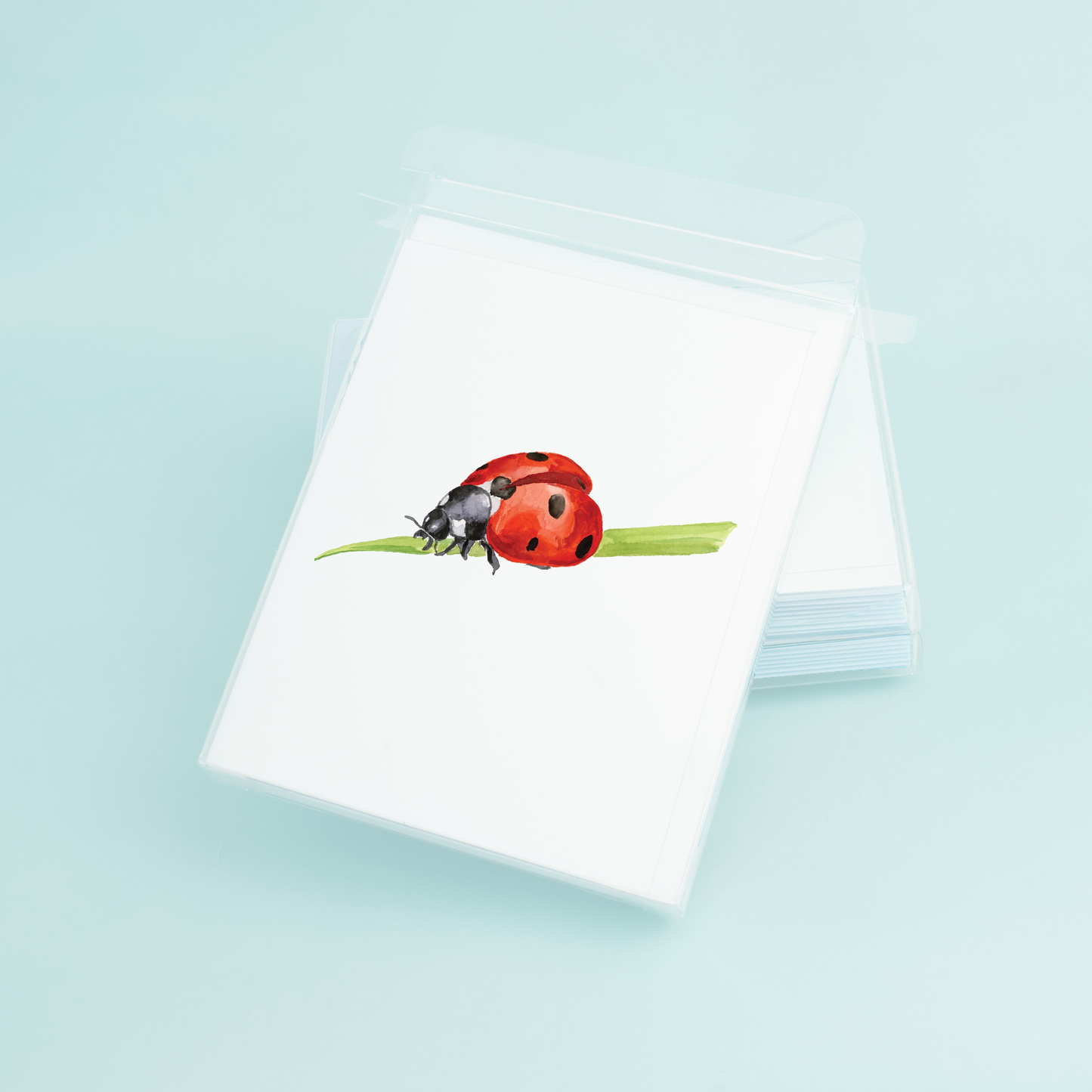 Lady Bug