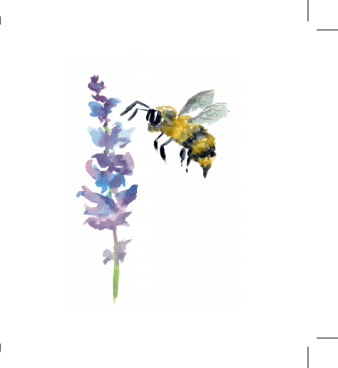 Bee Enclosure Card