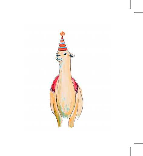 Birthday Llama Enclosure Card